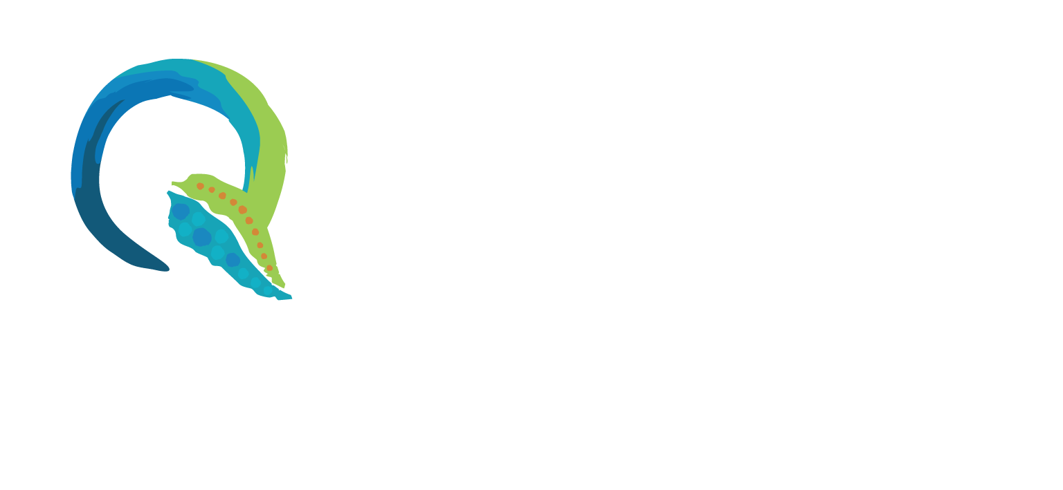 QAIHC Logo